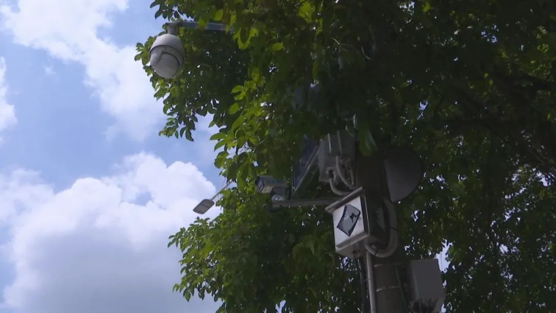 龙文朝阳百只“天眼”助力农村人居环境提升