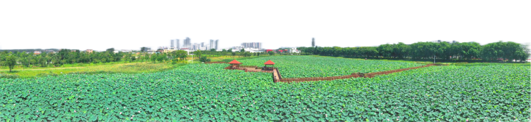 龙文:破除“两违”难点 无人机来帮忙